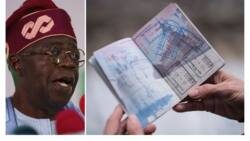 Nigerian passport devalued further, ranks among worst 20 to hold in the world