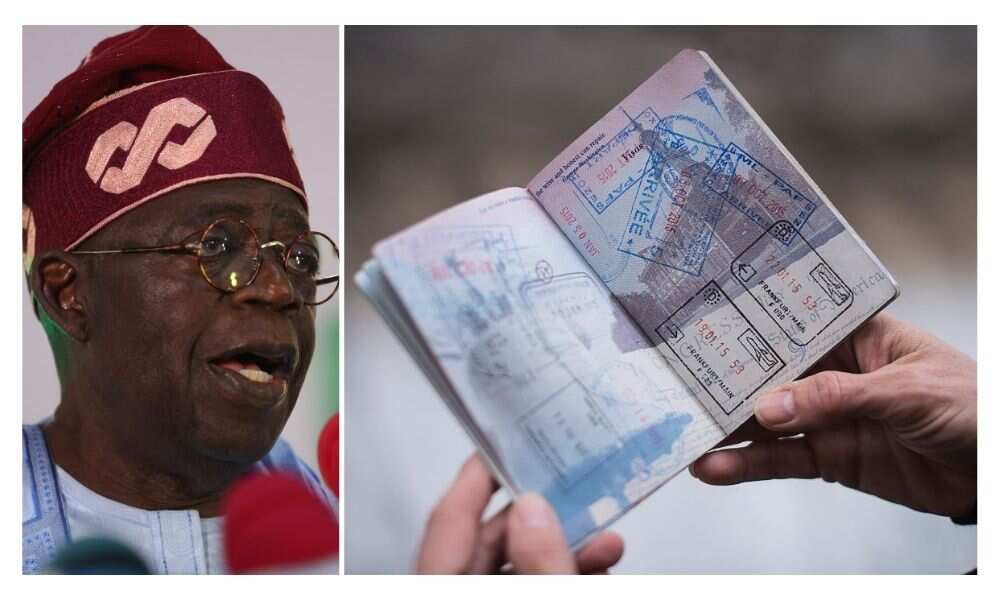Nigerian passport, immigration