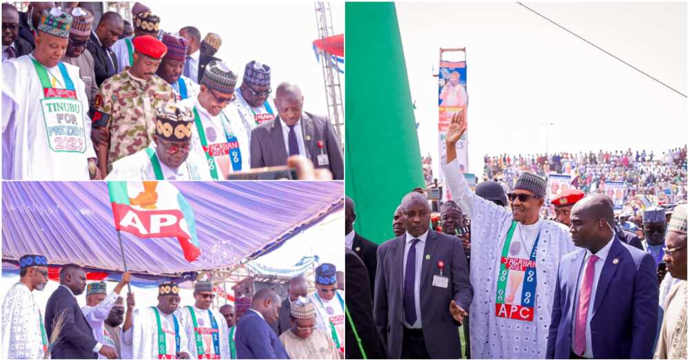 APC rally in Bauchi, President Muhammadu Buhari, the 20215 and 2019 general elections, Bola Tinubu