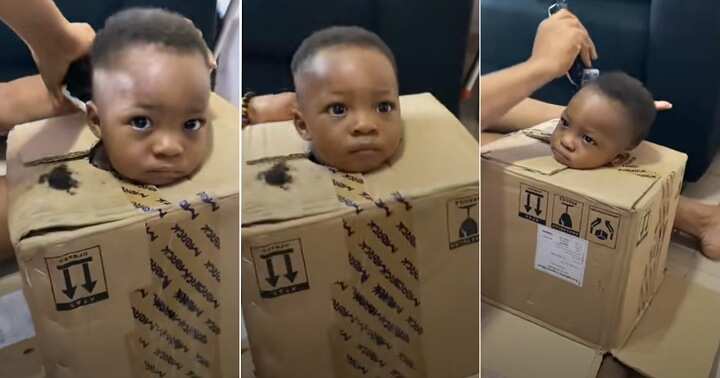Mum puts little son inside a box before cutting his hair