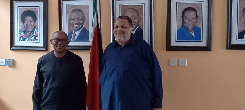 Peter Obi/South Africa/Diplomatic visit/2023 elections