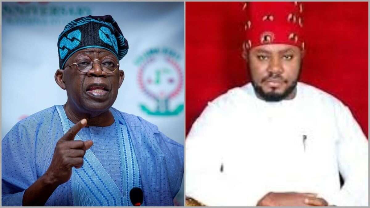Read full details of what APC Reps member-elect said about Tinubu's victory