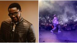 Kizz Daniel: Ghanaians lash out at GH musicians after crowd shouted 'Odoyewu' at concert