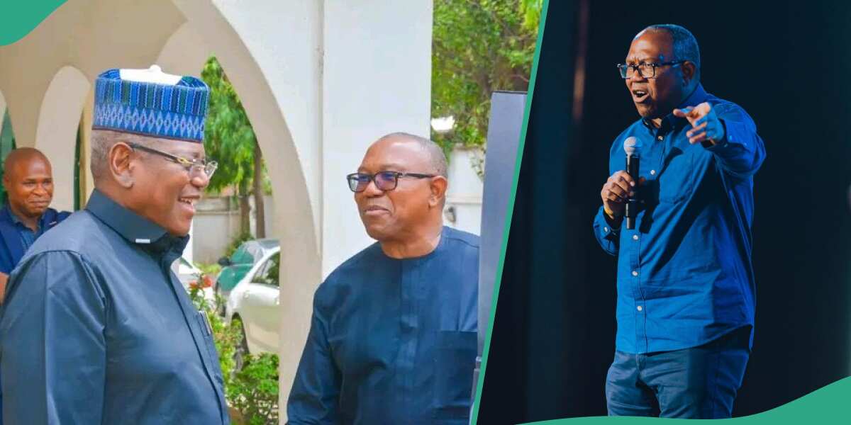 BREAKING: Peter Obi visited influential ex-northern PDP governor, details emerge