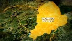 Commander, fighters killed as ISWAP, Boko Haram clash in northeast Nigeria