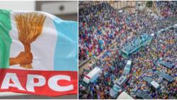 Tears, lamentation as 7 die in auto crash after attending Tinubu, APC rally in top northern state
