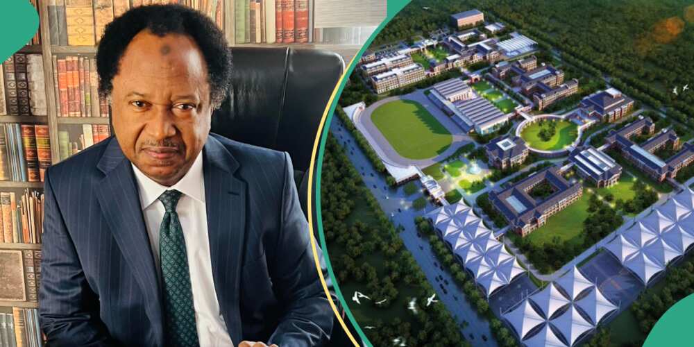 Shehu Sani reacts as Lagos primary school charges N42m
