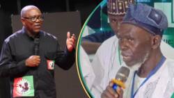 “Why Is he hiding his B.Sc?: Labour Party faction asks Peter Obi for university certificate