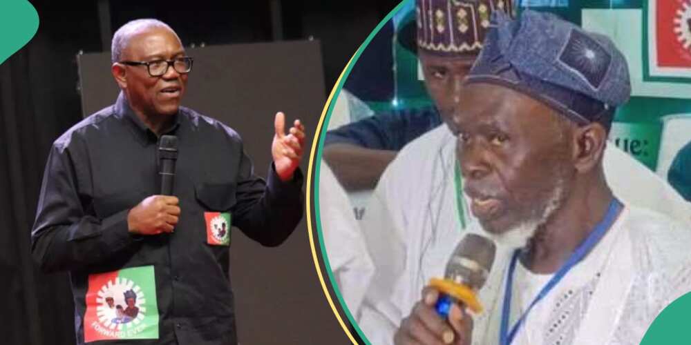 Apapa faction said Peter Obi won’t get Labour Party presidential ticket in 2027