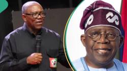 “Milking a dying economy”: Peter Obi blasts Tinubu’s govt over 0.5% cybersecurity levy