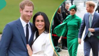 Prince Harry, Meghan Markle to visit Nigeria, real reason emerges