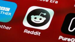 How to delete Reddit history: find and erase your searches