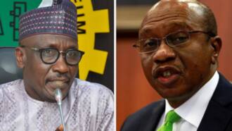 Naira fall: Blame corruption in NNPC not CBN for exchange rate, CNPP tells Buhari