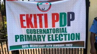 LIVE UPDATES: Ekiti governorship primary: Fayose's endorsed aspirant in early lead as PDP elects candidate