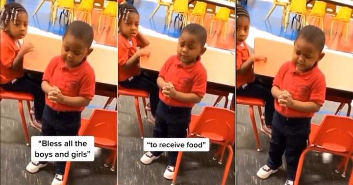 Little boy prays for his food, cute child