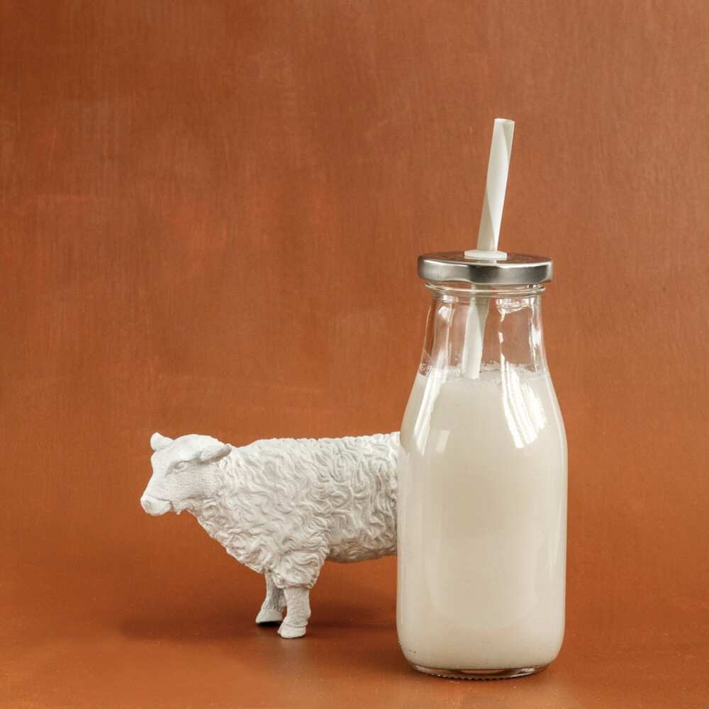 What type of milk is best for skin care goat or cow milk?