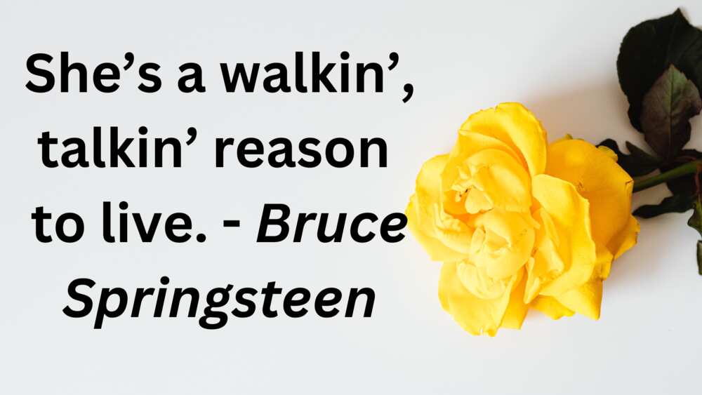 quotes about a crush quotes about a crush