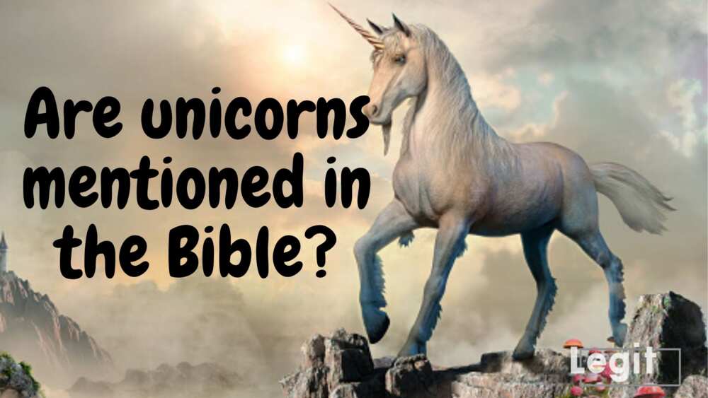 Are unicorns in the Bible? Verses that mention the mythical creature -  Legit.ng