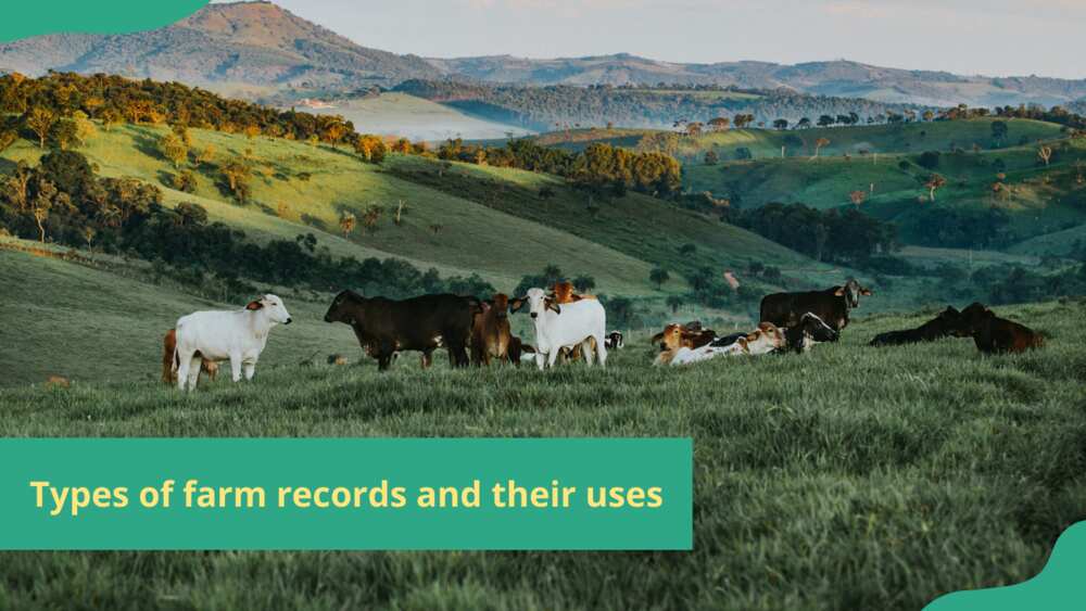 types of farm records