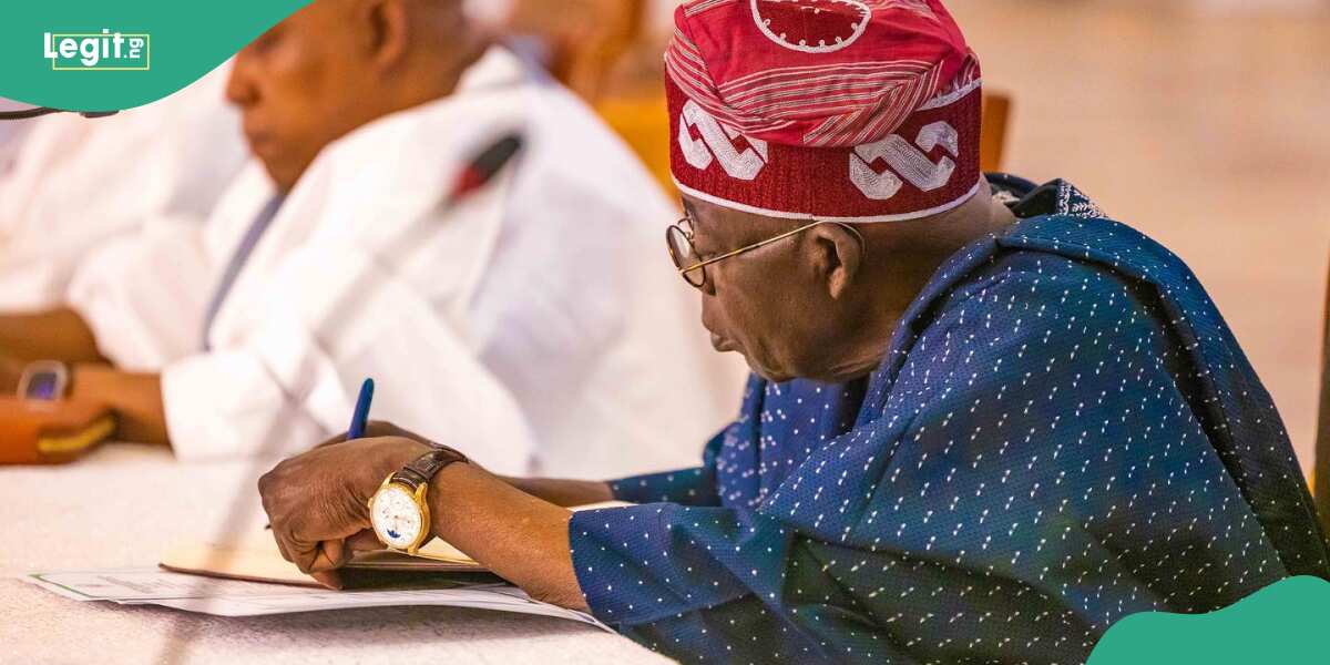 Full List: Details emerge as Tinubu makes over 500 appointments