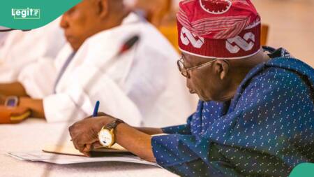Just In: Tinubu makes over 500 appointments, full list, details emerge