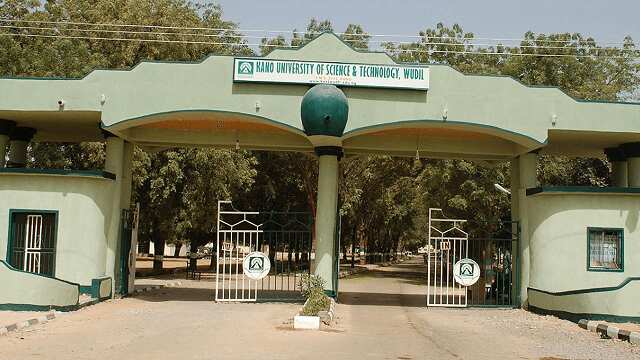 Kidnappers, Kano Village Head, Kano State University of Science and Technology