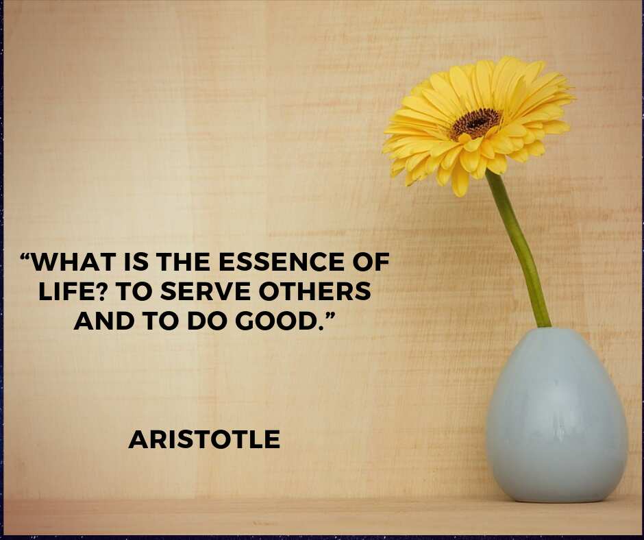 30 Famous Aristotle Quotes On Education, Love And Life Legit.ng