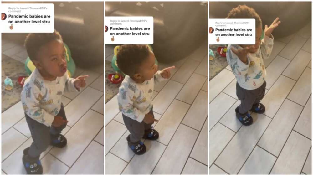 Little boy viral dance moves