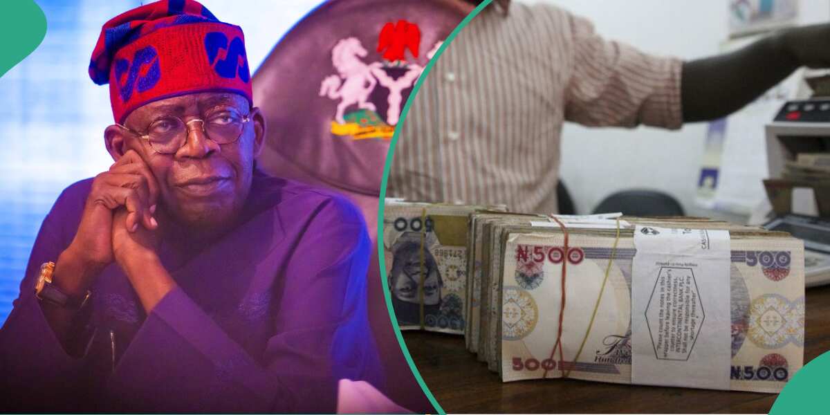 Naira Among WorstPerforming Currencies in the World, Report Predicts