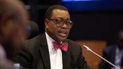 AfDB: We're deeply sorry for calling you flamboyant - BBC to Adesina