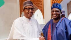 ‘Jubril of Sudan’: Femi Adesina opens up on Buhari ‘being cloned’ in 2019