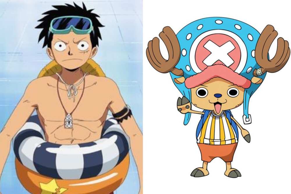 One Piece: Warship Island Arc (Filler)