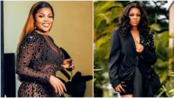 "Dey calm down": Knocks as BBNaija's Chichi claps back at brands offering N5m to work with her, video trends