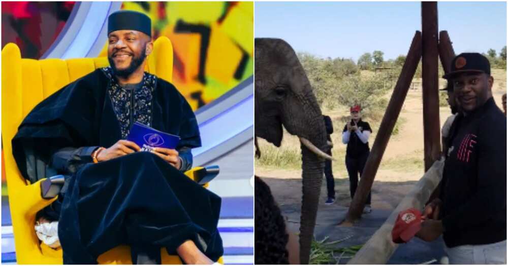 Ebuka with an elephant Ebuka with an elephant