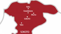 'Yan sanda sun karyata jita-jitan cewa 'yan bindiga sun nada sabbin hakimai a Sokoto
