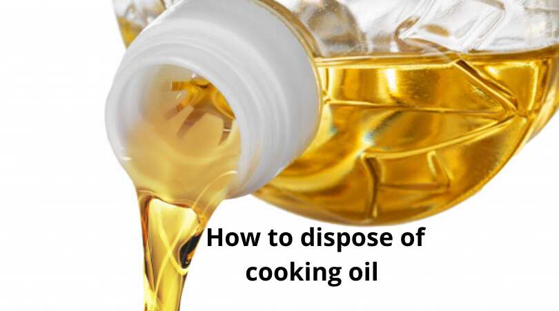 How to dispose of cooking oil when it can no longer be used - Legit.ng