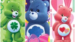What are the Care Bear names? Get to know the cuddly characters
