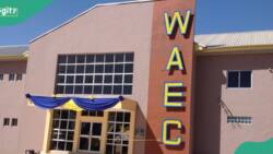 BREAKING: WAEC Nigeria announces new boss as Patrick Areghan bows out