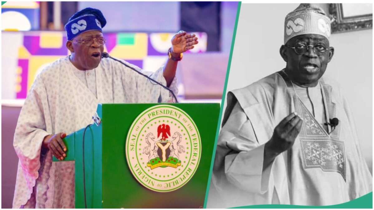 Just In: Tinubu makes fresh statement on cybersecurity levy