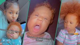 "She is so gorgeous": Baby with ginger hair leaves netizens in awe, video melts hearts