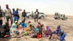 Boko Haram/ISWAP: 10 terrorists surrender with weapons in Borno