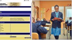 WAEC 2023: Lekki schoolgirl's result emerges on social media, her stellar score in each subject stuns many