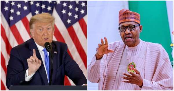 MURIC tells FG to place travel ban on President Trump
