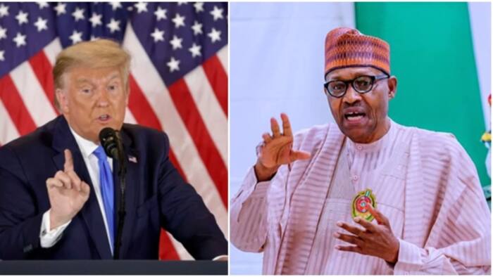 Capitol invasion: Buhari asked to place travel ban on President Trump