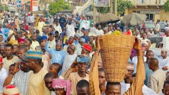 Kayan marmari: Jam'iyyar su Kwankwaso NNPP ta samu mutane miliyan 2 a jihar Borno