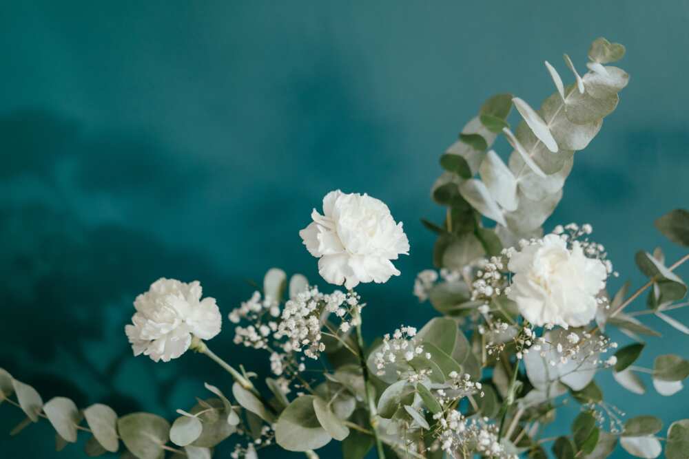 Carnation and eucalyptus branches