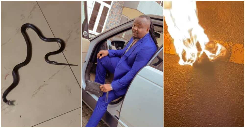 Photos of Nollywood actor Kelvin Chizzy and black snake