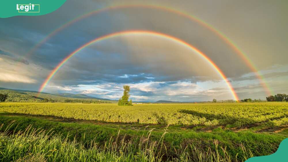 Double rainbow meaning