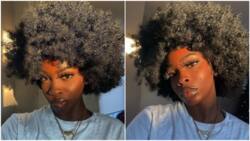 Lady rocks full hair in viral photos, people say she looks cute, draw comparisons