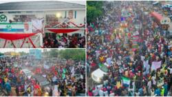 Photo, video emerges as NNPP presidential candidate Kwankwaso ‘shut down’ Maiduguri